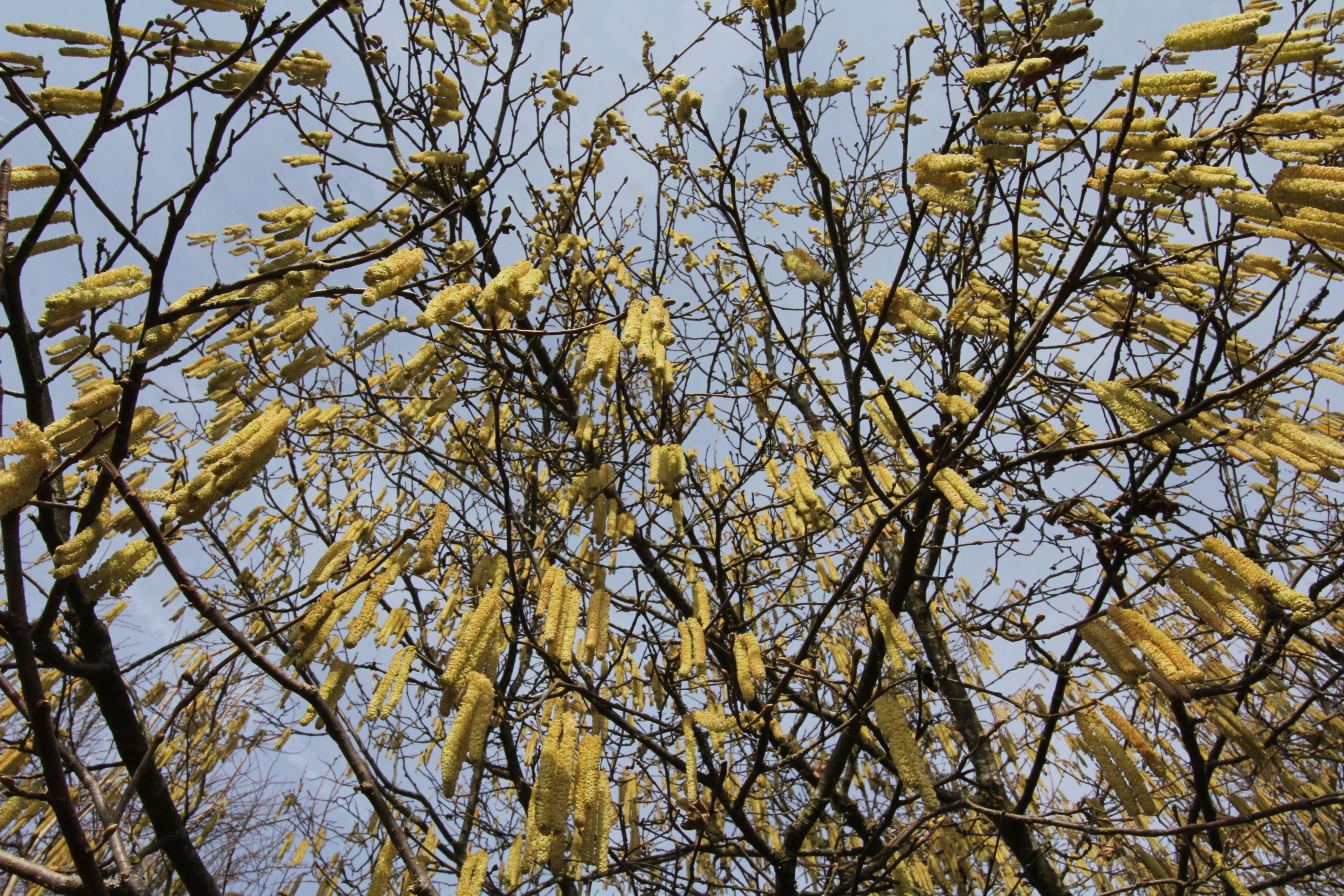 Frühlingsversammlung!